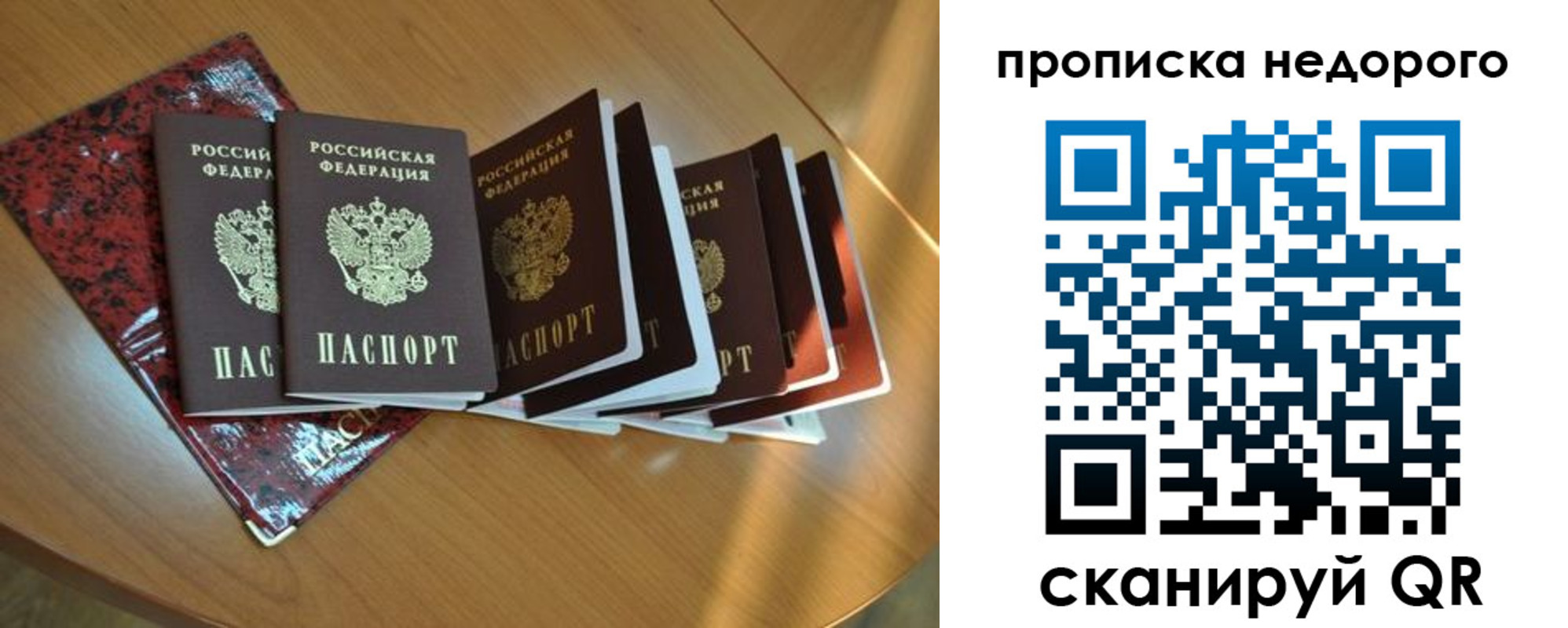 прописка штамп в Сальске